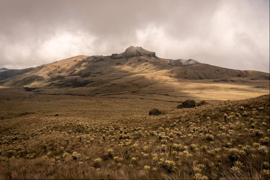 El volcán Sotará, en Cauca, es uno de los más inexplorados del país y está ubicado en un resguardo indígena que logró convertirse en un rincón de paz en el departamento.