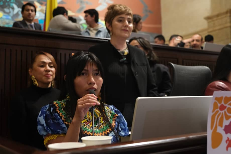 Claudia Queragama, lideresa de la comunidad indígena Embera Katío, ha sido pieza clave en la construcción del proyecto de ley.