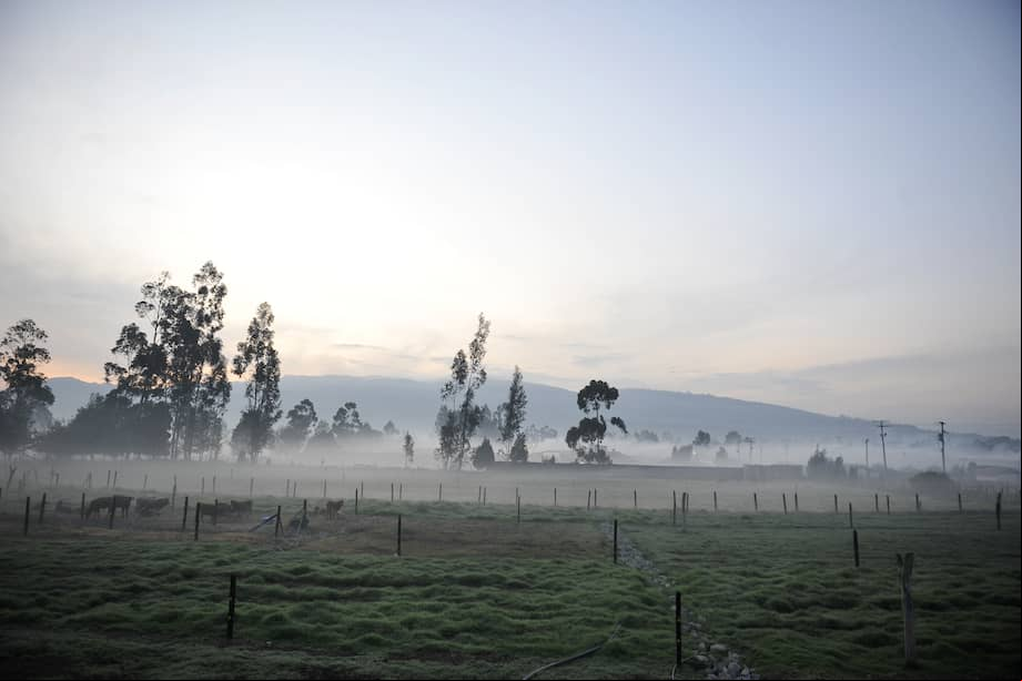 Bajas temperaturas en algunas zonas del departamento de Cundinamarca y algunos municipios de la sabana