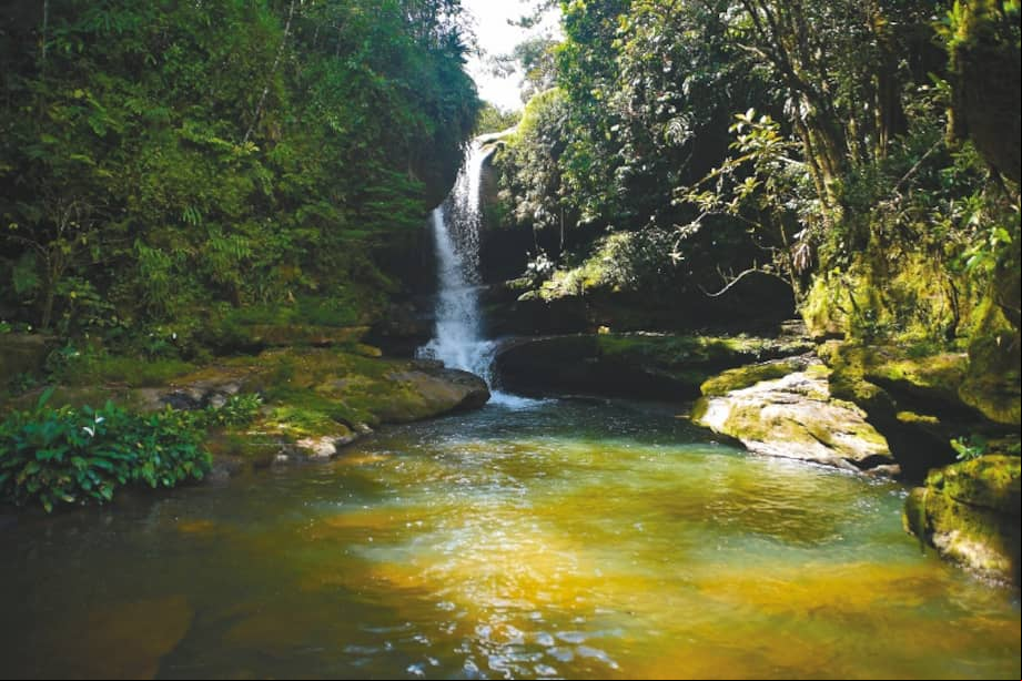 l proyecto hace un recorrido por el sendero del agua en el que se encuentran tres cascadas. / José Vargas