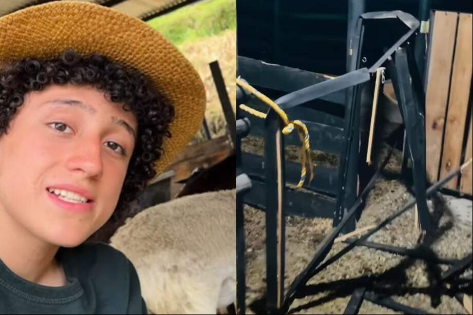 Niño de "La Granja del Borrego" mostró cómo sus animales se escaparon de la finca por causa de la pólvora.