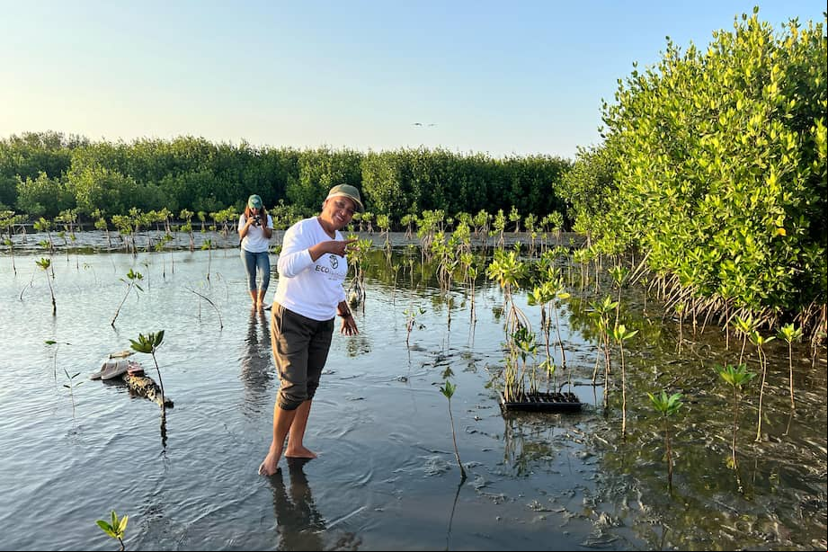 Ecoturismo Mallorquín es un emprendimiento comunitario que promueve el turismo regenerativo en la Ciénaga de Mallorquín.
